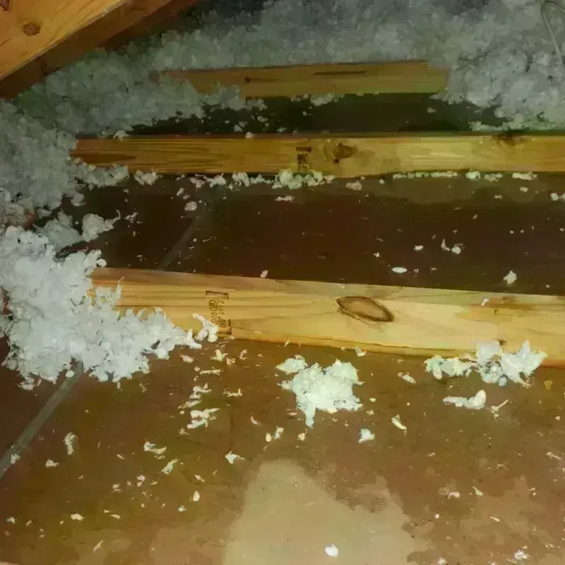 Attic Water Damage in North Collins, NY